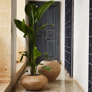 Fermliving Pot de fleurs Dodu