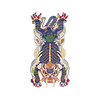 Bongusta Dragon rug - small