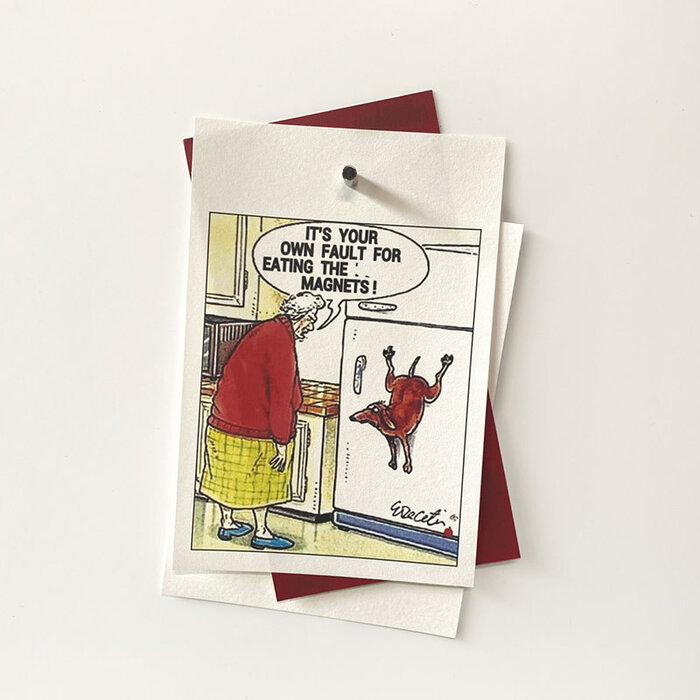 Groovy Magnets Aimants