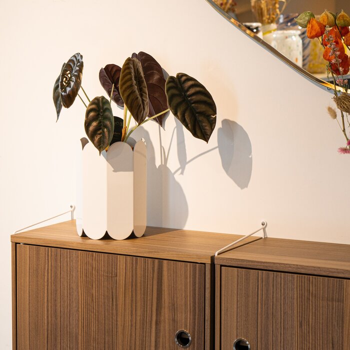 String Configuration murale 68 - Salon (Showroom)