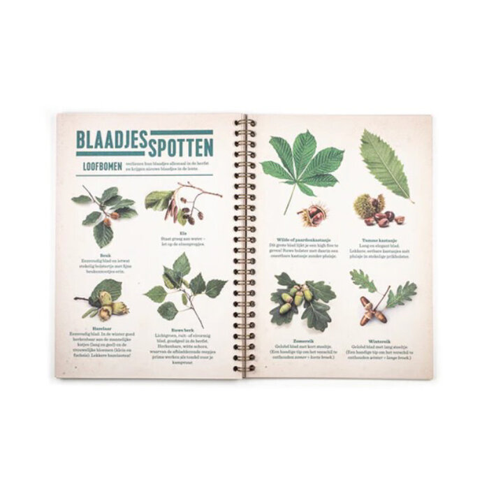 Stratier Op avontuur in de Ardennen