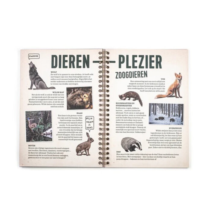 Stratier Op avontuur in de Ardennen