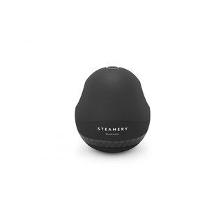 Steamery Pilo 1 Fabric Shaver - Noir