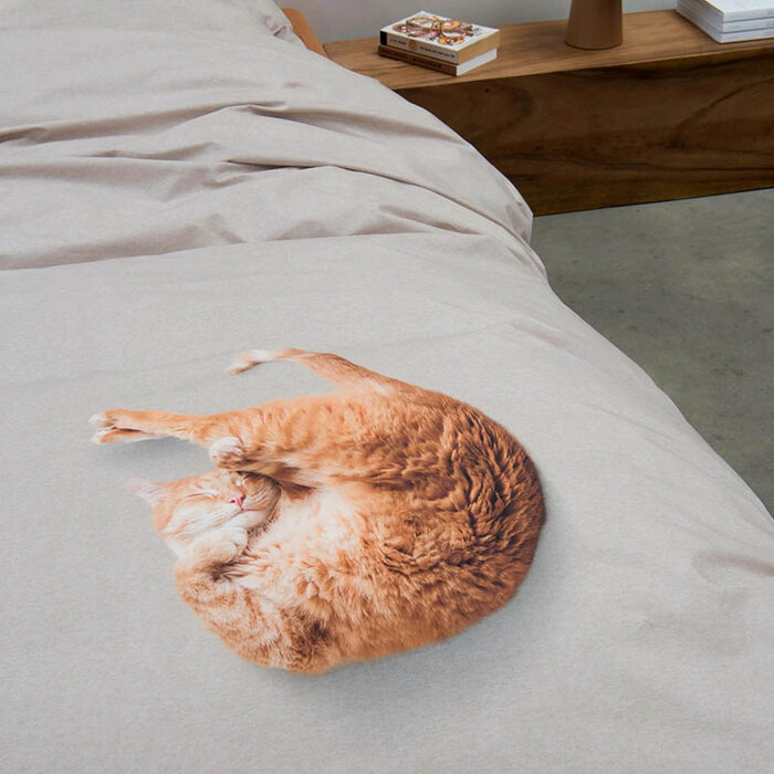 SNURK beddengoed Louis dekbedovertrek 1p