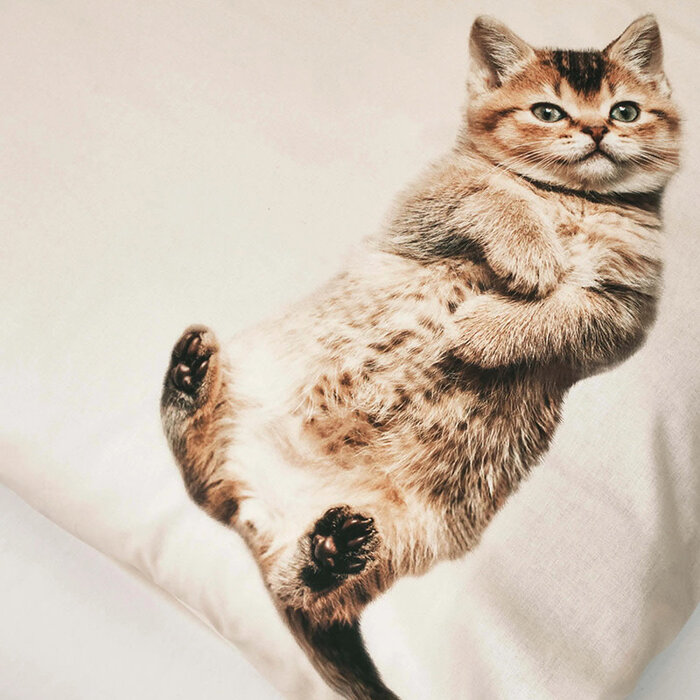 SNURK beddengoed Housse de couette Kitten Friends 1p