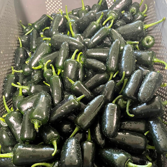 Other brands Mad Max Jalapeno - 245ml - Mad Max