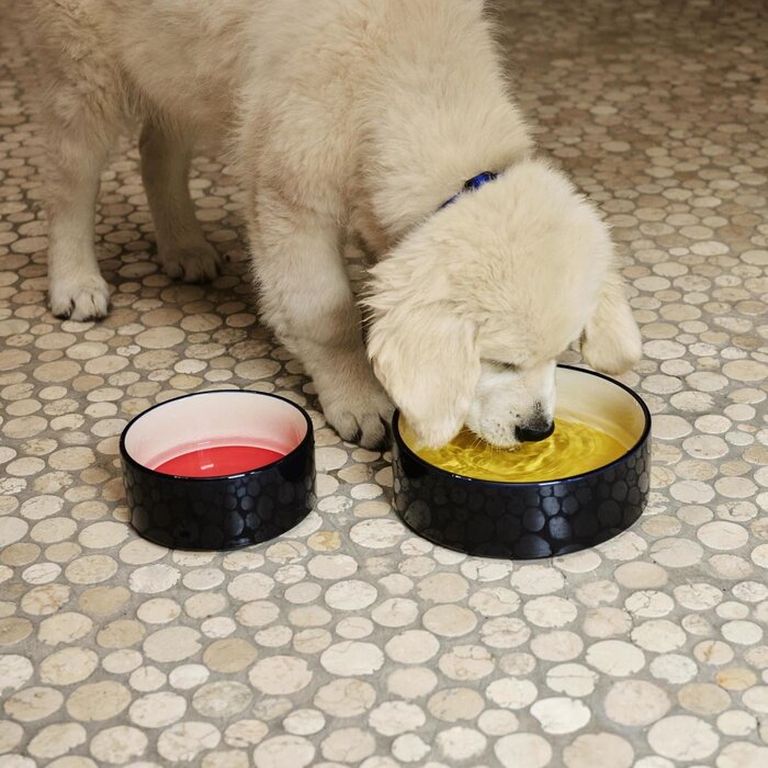 HAY Dog Bowl - Small - HAY