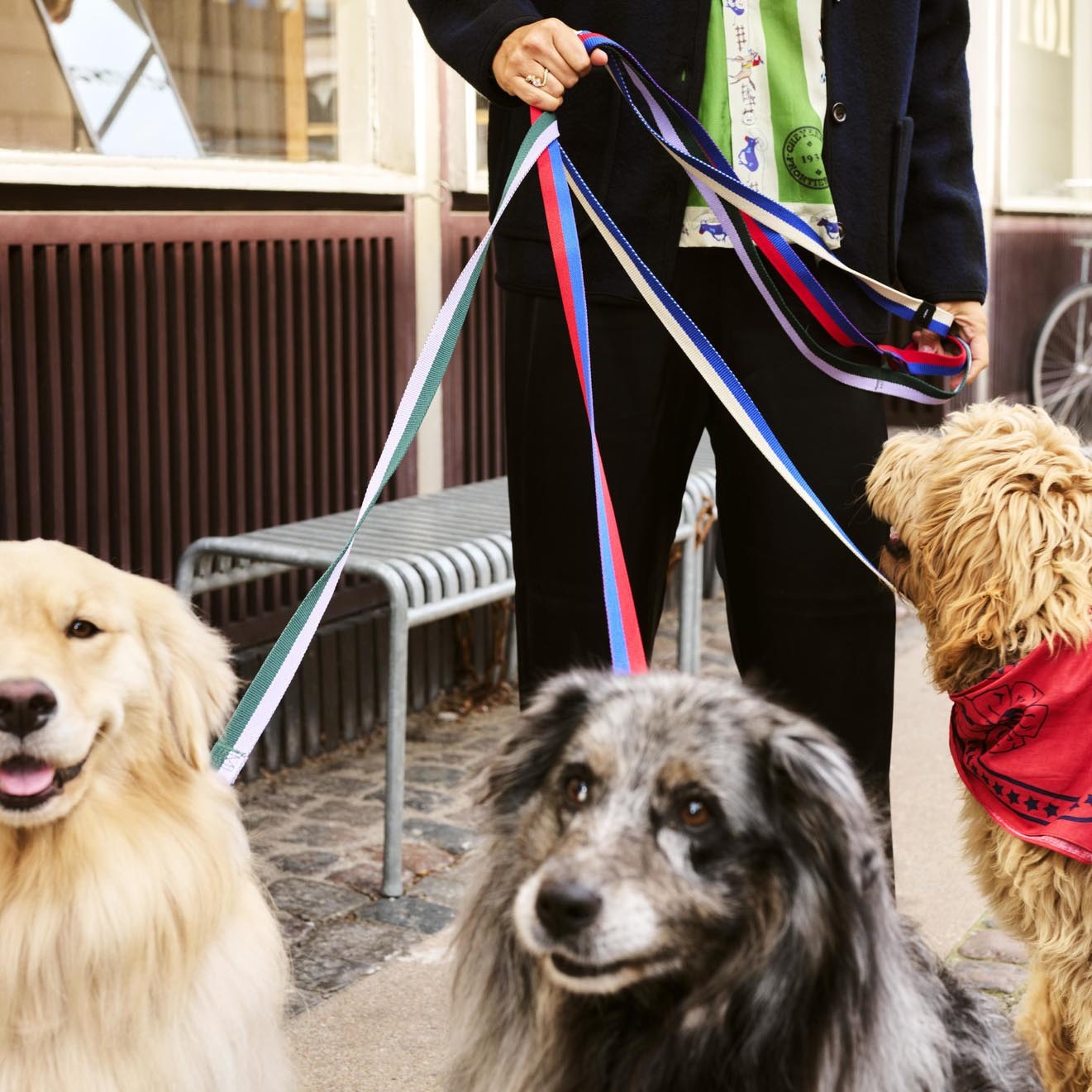 HAY Dog Leash Flat - Blue Off-white - HAY