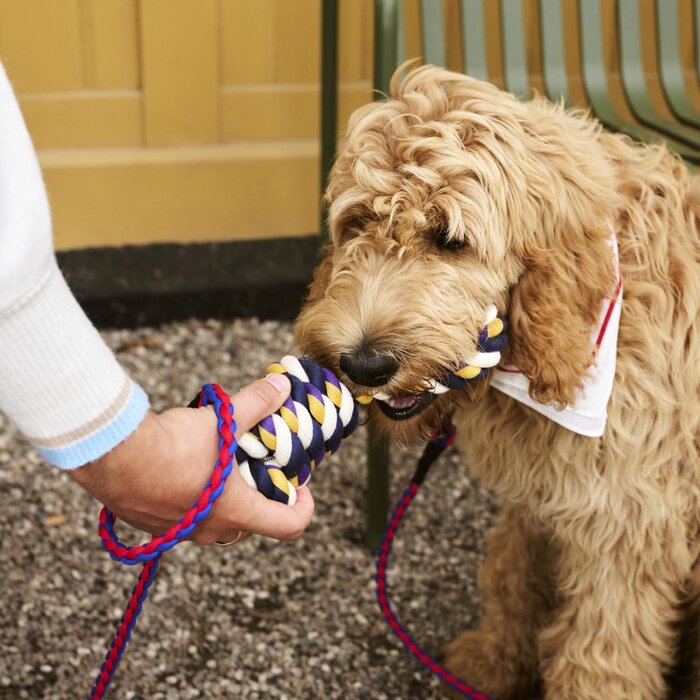 HAY Dogs Leash - Braided - HAY