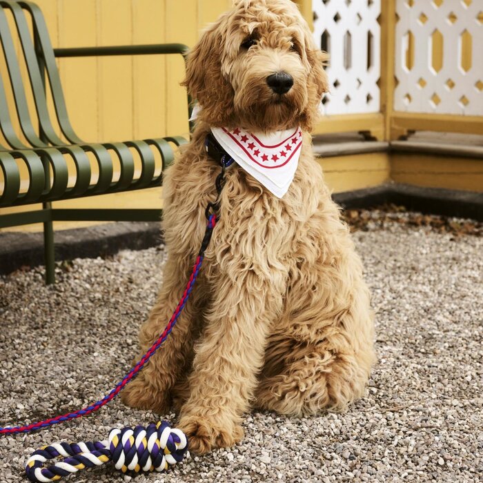 HAY Dog Rope Toy - HAY