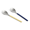 HAY Serveerlepels - Muller Van Severen - Blue & Yellow