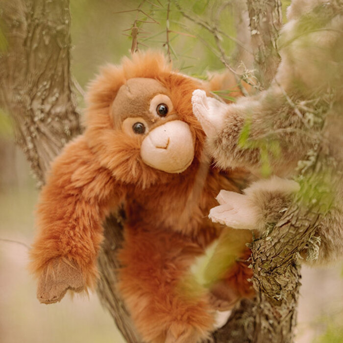 Bon Ton  Toys Peluche Orang-outan - Bon Ton  Toys