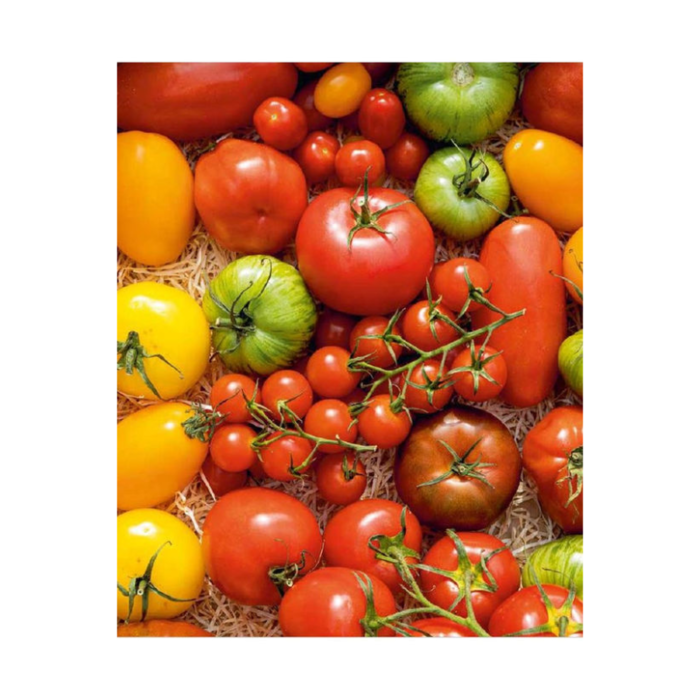Think Tomato Kookboek Tomato Tomato - Think Tomato