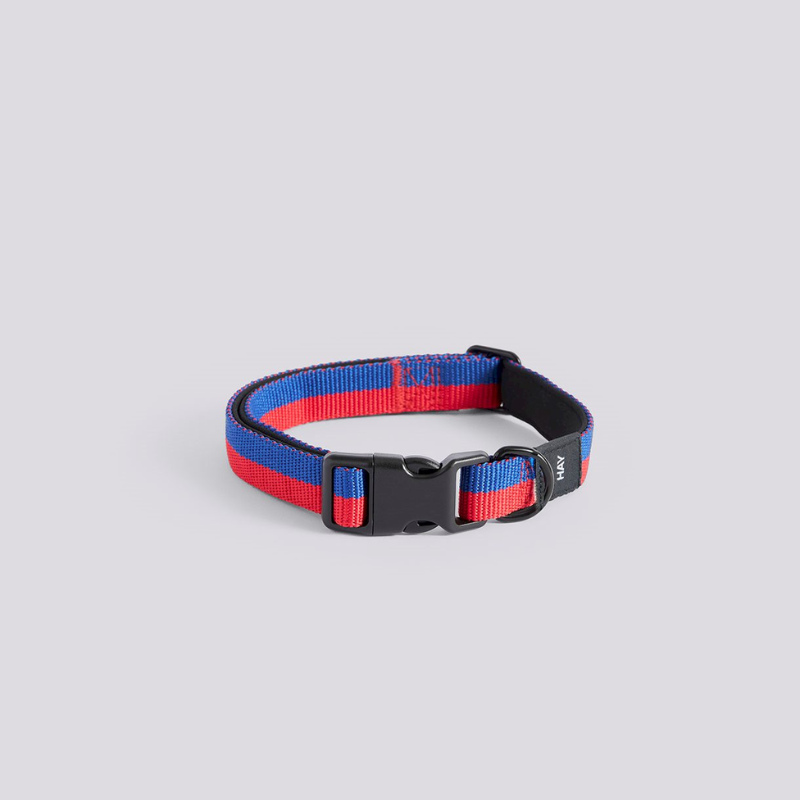HAY Collier pour chien - S/M - HAY