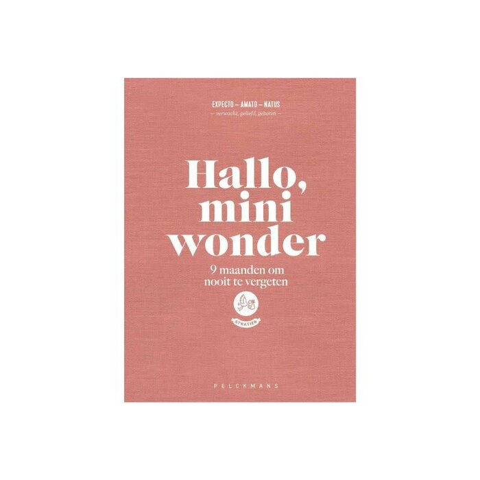 Stratier Bonjour, petit miracle - Stratier