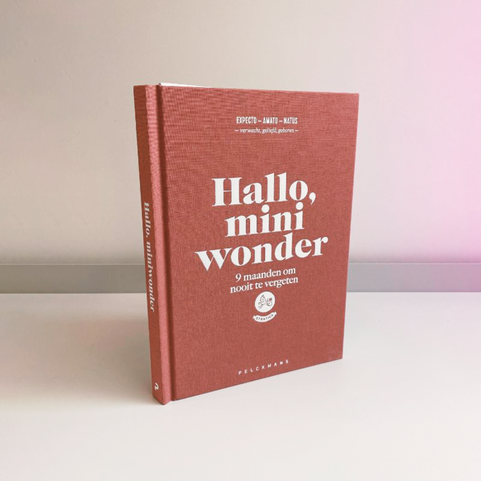 Stratier Bonjour, petit miracle - Stratier