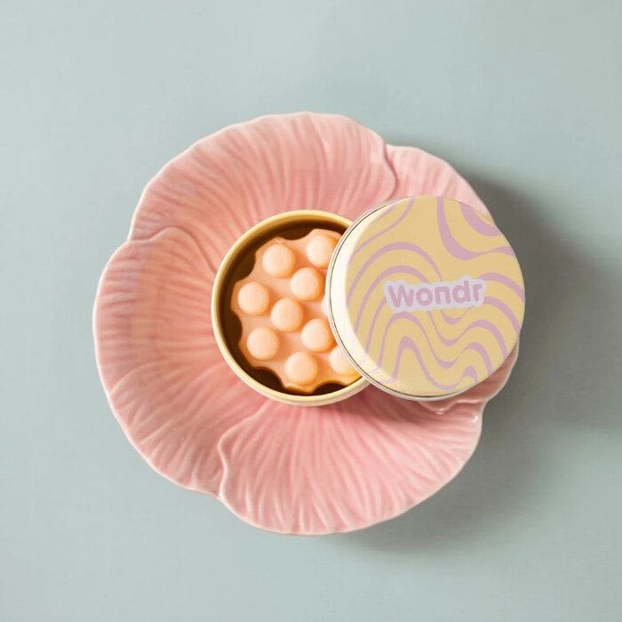 Wondr Travel Case Shower Bar - Wondr