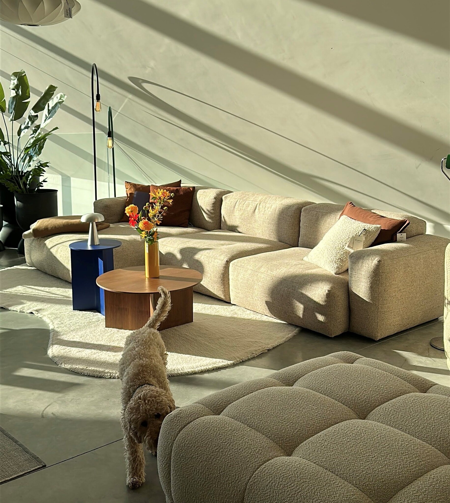 HAY Mags soft low sofa (showroom) - bolgheri left end - beige stikking