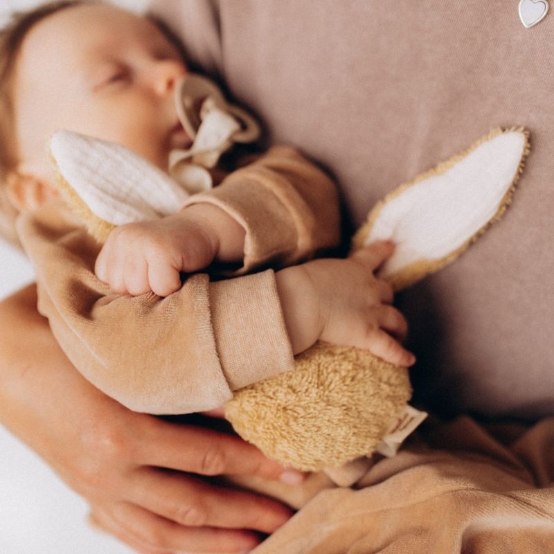 Wooly organic Fopspeenhouder - Wooly organic