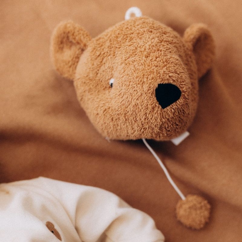 Wooly organic Muziekbox teddy - Wooly organic