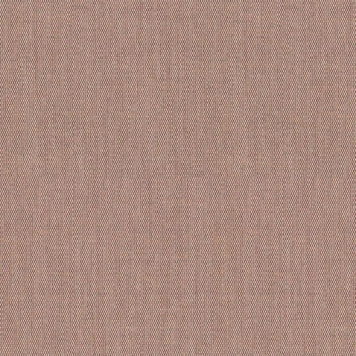 Extremis Coussin Virus - Extremis