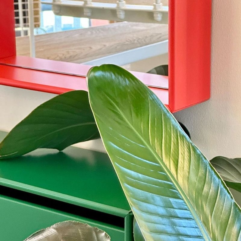 Montana Miroir Shelfie - Montana