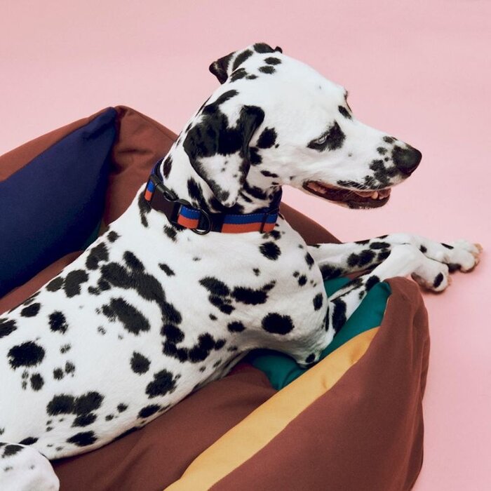 HAY Panier pour chien - Multi - Dogs bed - HAY