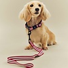 HAY Dogs Leash