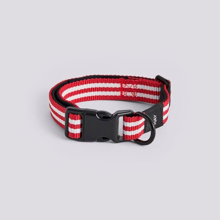 HAY Collier pour chien - S/M - HAY