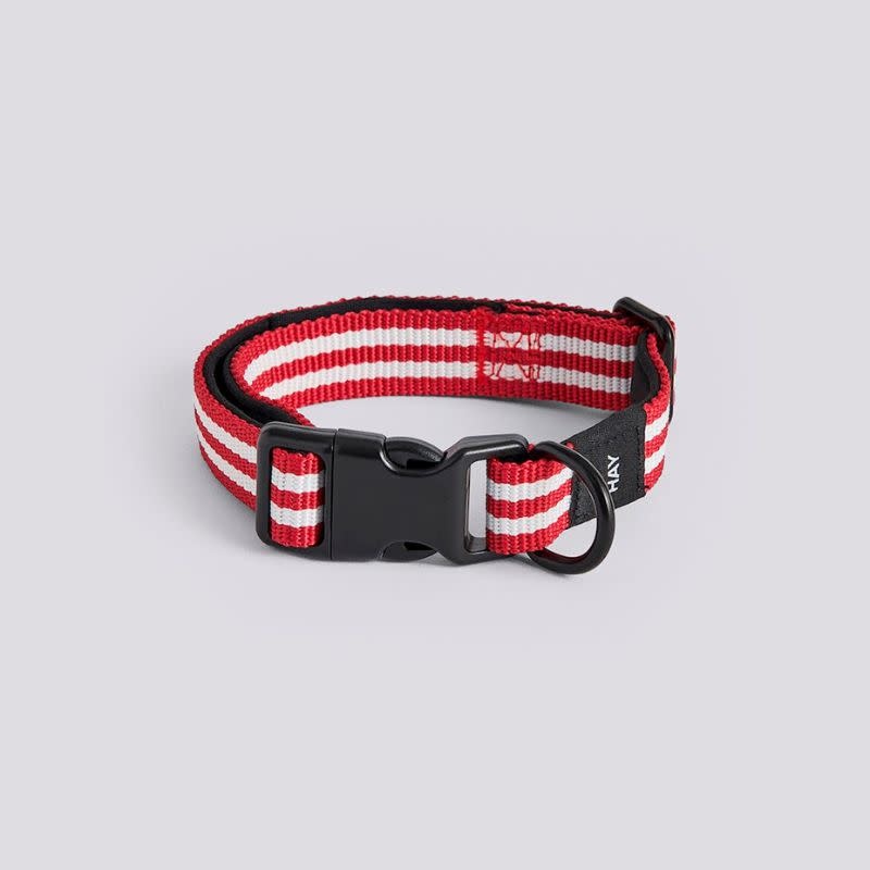 HAY Hondenhalsband - Dog Collar - S/M - HAY
