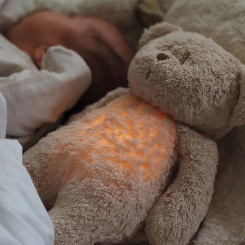 Moonie Moonie the humming bear