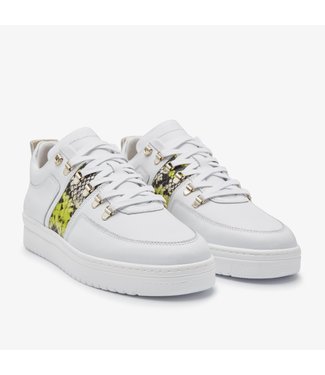NUBIKK YEYE MAZE BLOCK PYTHON SNEAKER - Di lano Fashion