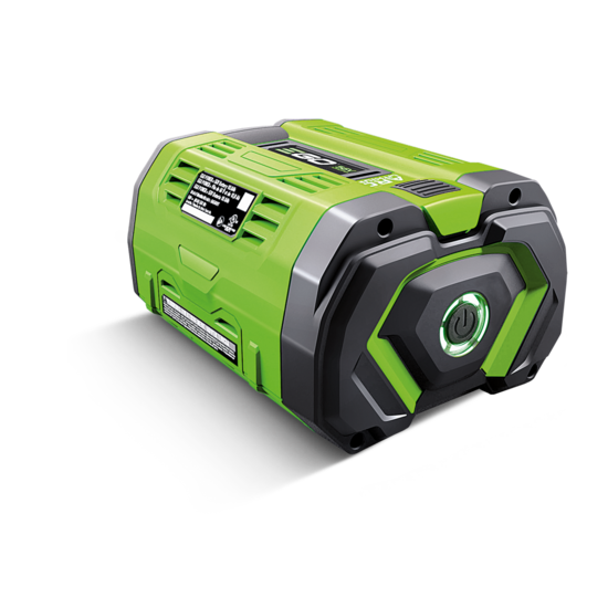 EGO power plus Accu 10.0 A/h BA5600T