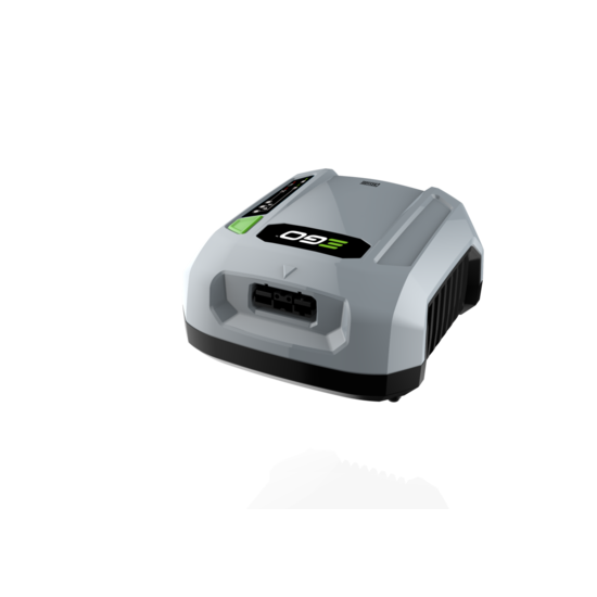 EGO power plus CHX5500E Lader professioneel