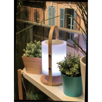 Garleds Tafellamp LED met Speaker + Bluetooth Oplaadbaar + Afstandsbediening  - Funnylights Weedle