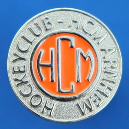 Pins of speldjes naar eigen ontwerp - Geslagen en ingekleurd