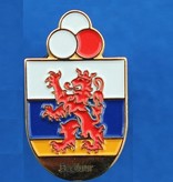 Pins of speldjes naar eigen ontwerp - Geslagen en ingekleurd