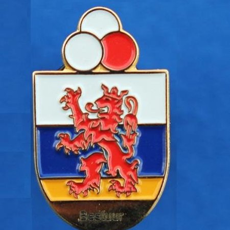 Pins of speldjes naar eigen ontwerp - Geslagen en ingekleurd