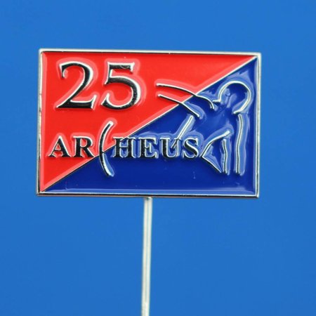 Pins of speldjes naar eigen ontwerp - Geslagen en ingekleurd