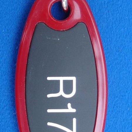 Paddington Sleutelhanger Nylon Ovaal 80mm met gedraaide S-haak