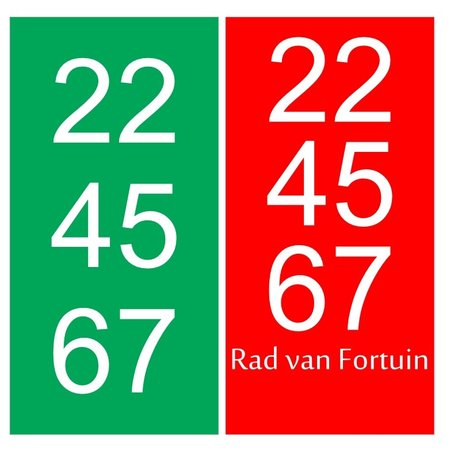 Rad van Fortuin plankjes Kunststof met full Colour bedrukking aan 1 zijde