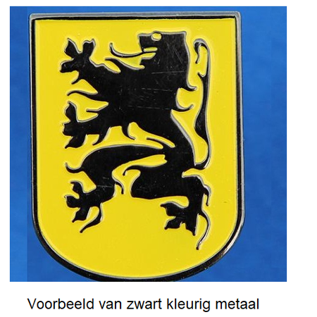 Pins of speldjes naar eigen ontwerp - Geslagen en ingekleurd