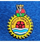 Pins of speldjes naar eigen ontwerp - Geslagen en hoog ingekleurd