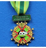 CombiCraft Gegoten medaille ingekleurd met jouw eigen ontwerp