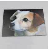 Foto A4 op een Aluminium CombiPaneel