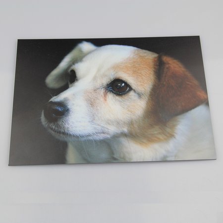 Foto A4 op een Aluminium CombiPaneel