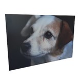 Foto A4 op een Aluminium CombiPaneel