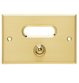 Messing belpaneeltje in de maat 120x80mm rechthoekig, gemaakt van echt satijn messing voorzien van een messing gepolijst drukknopje en randen, verder een transparant opaalglas ruitje.