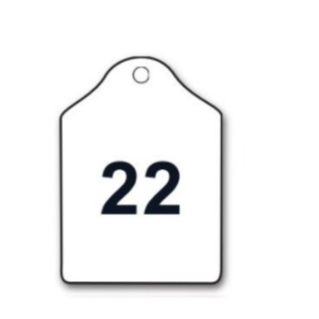 Label Dennenoord GROEN 35x50x3mm + 1 gat