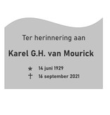 Grafmarkering 'Wave" is een rechthoekig RVS-Look bordje in  240x175mm  met  een golvende bovenzijde